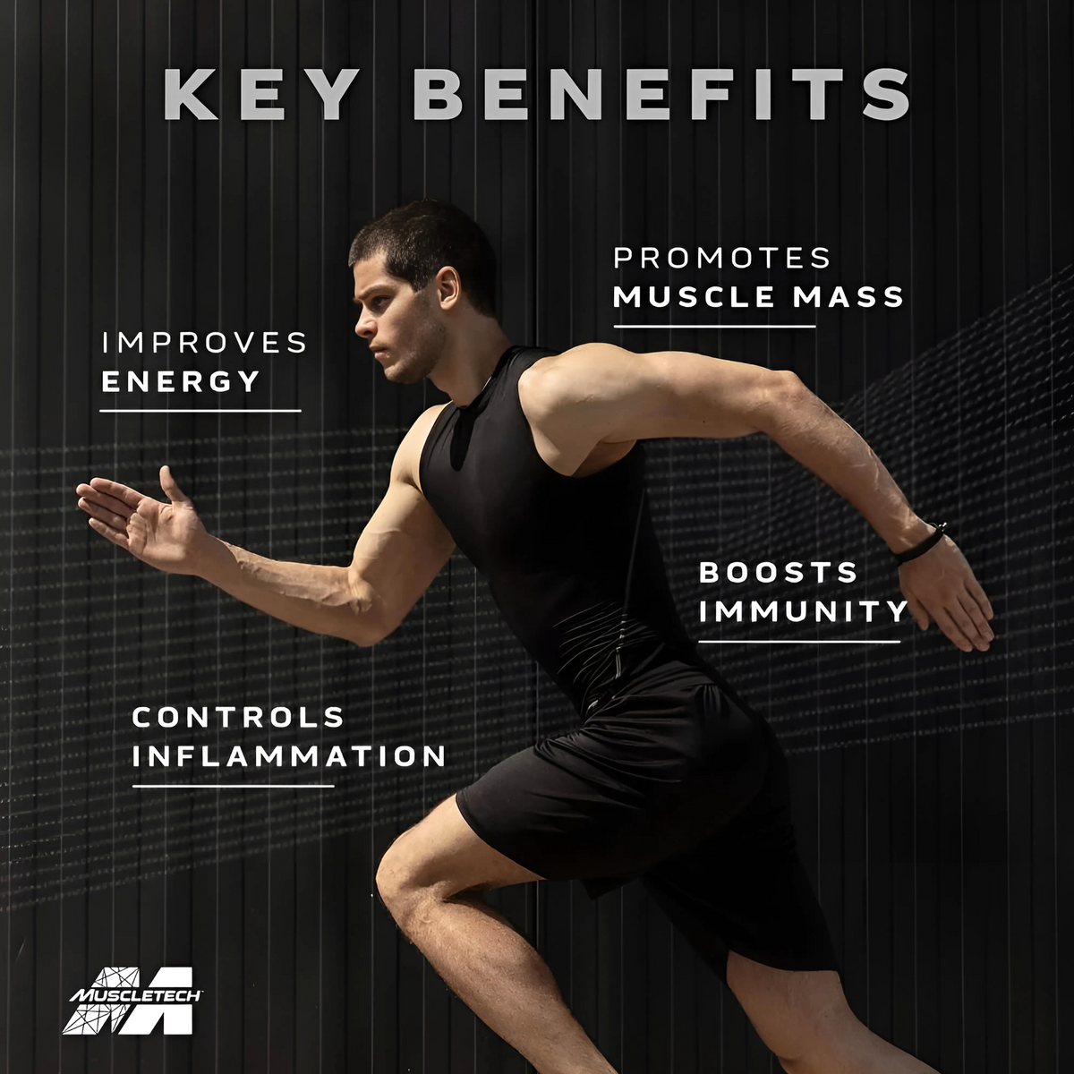 MuscleTech Platinum Multivitamin,Vitamin C for Immune Support,18 Vitamins & Minerals,60 Tablets, 150 grams