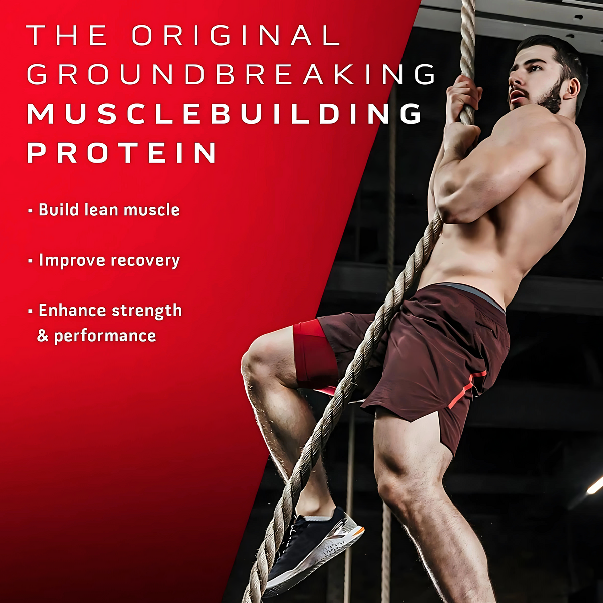 MUSCLETECH NITROTECH IND 4LB 40 SER.