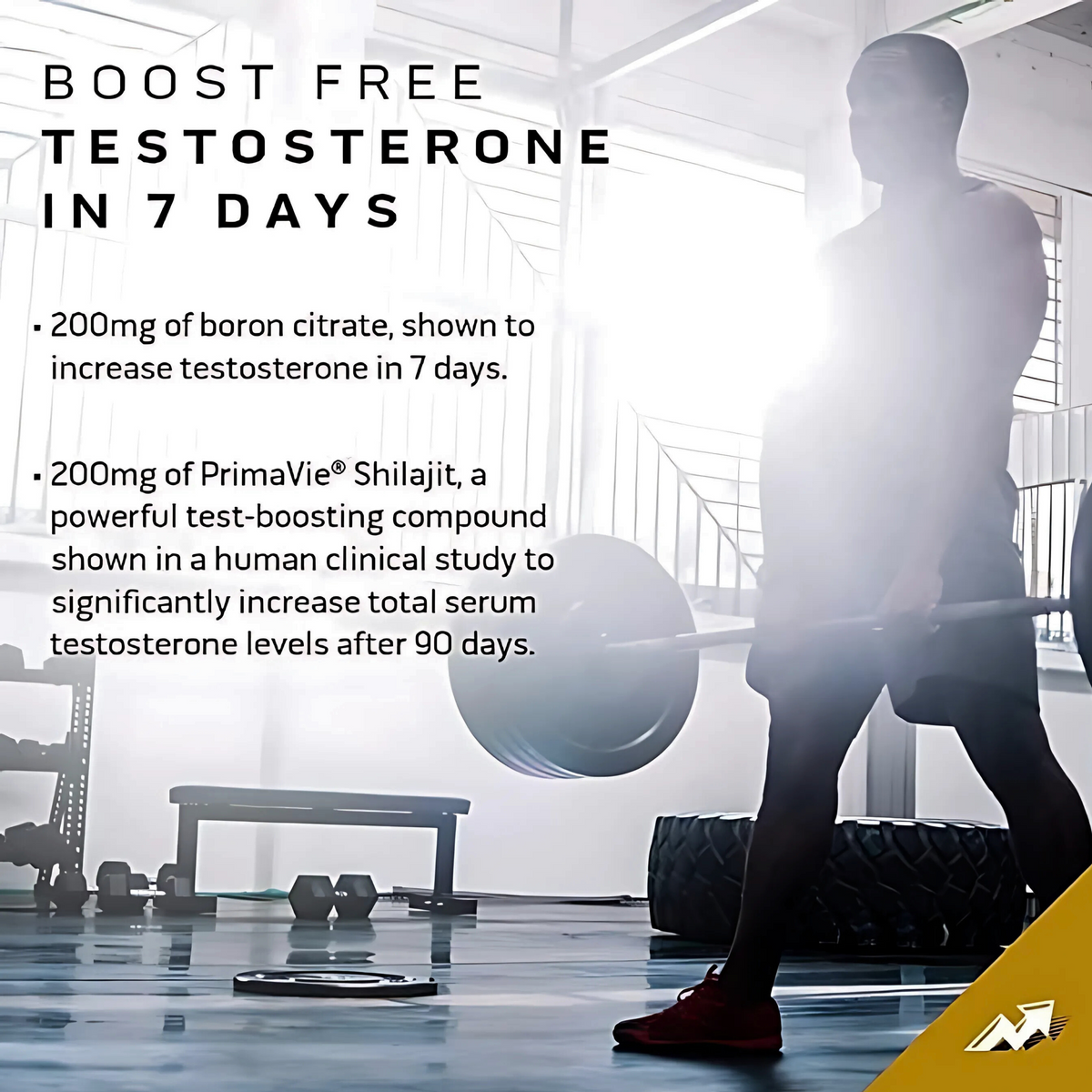 MUSCLETECH TEST HD ELITE 60 TABS