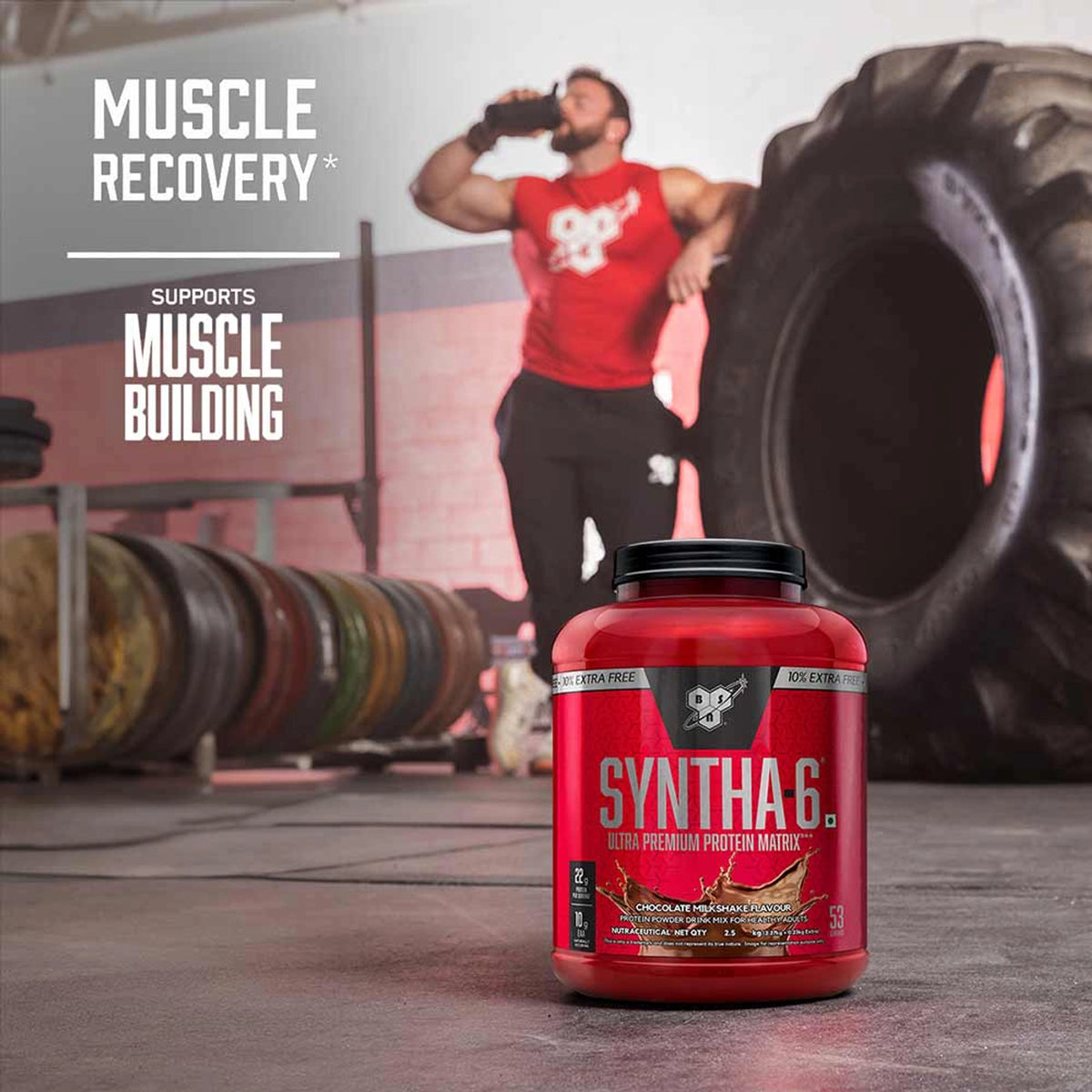 BSN Syntha 6 Protein Powder - 5 lbs, 2.27 kg