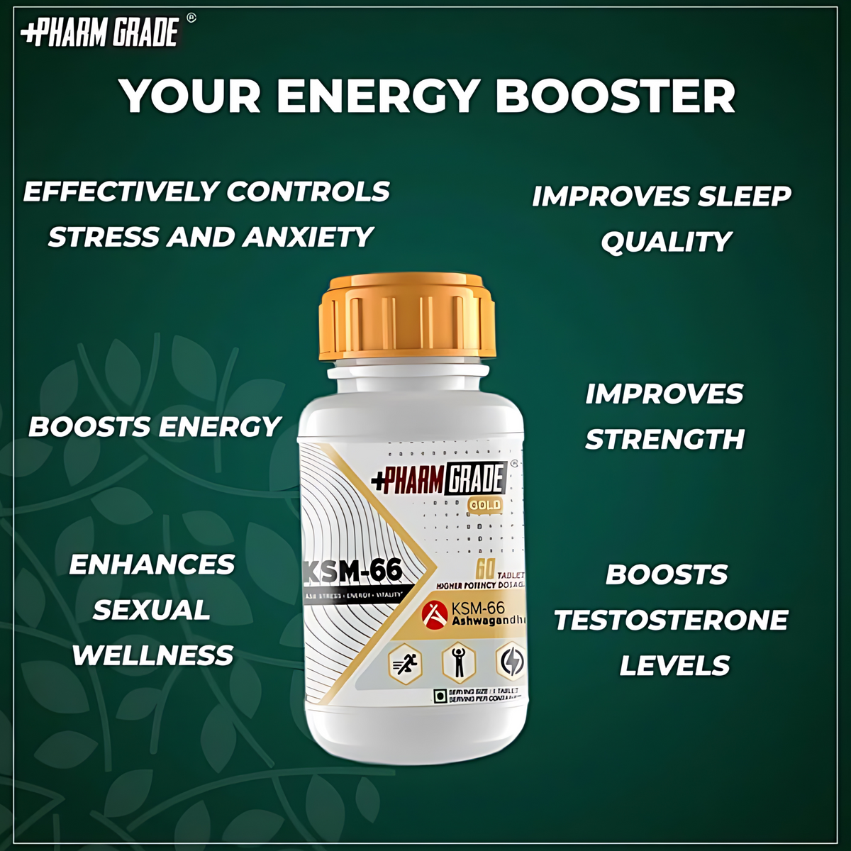 BIG FLEX PHARM GRADE KSM ASHWAGANDHA