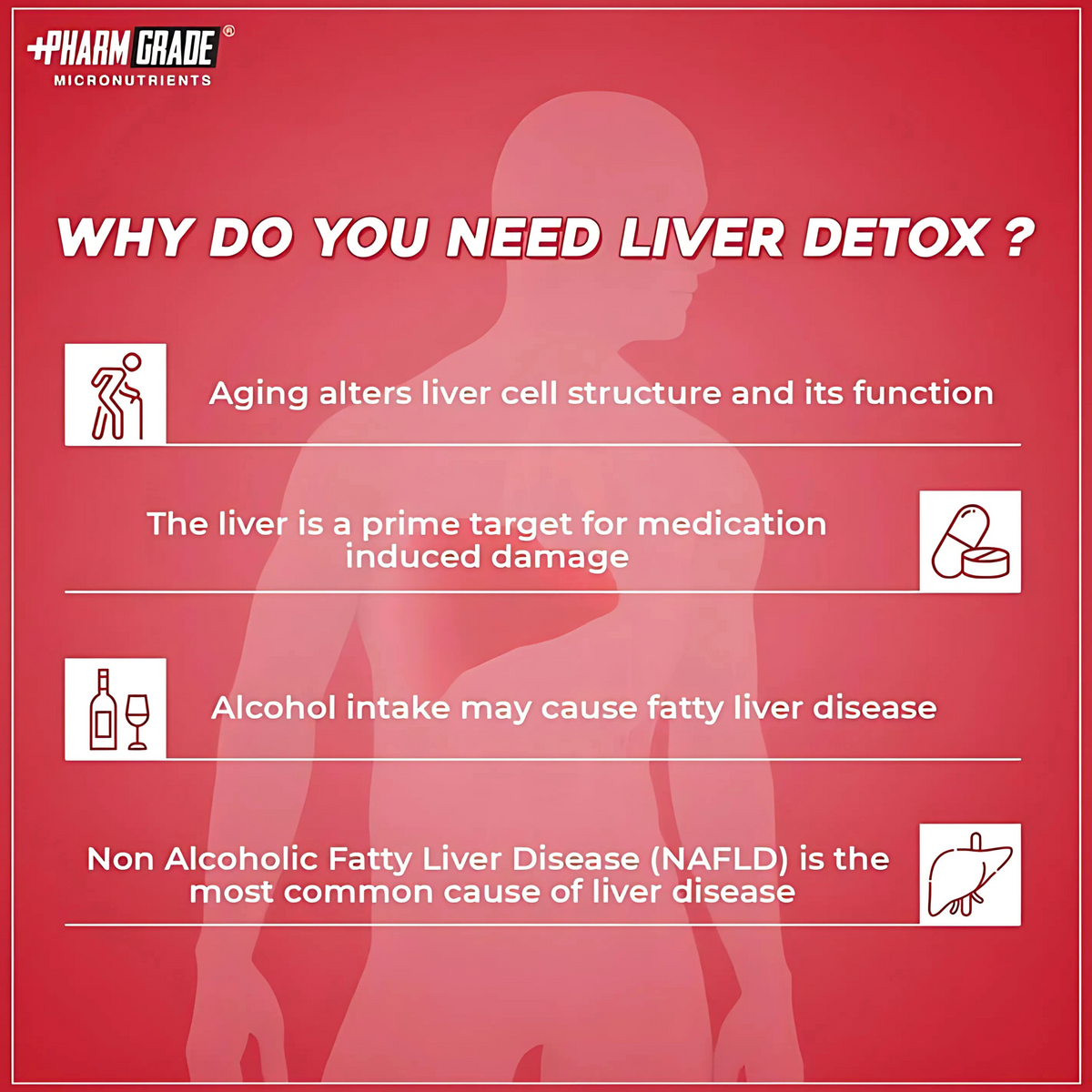 BIG FLEX PHARM GRADE LIV CLEAN