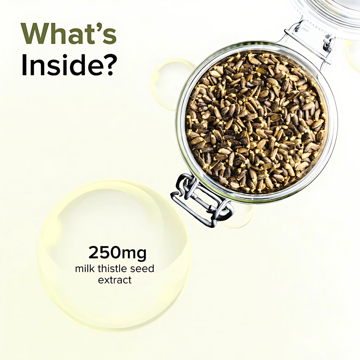 GNC HERBAL PLUS MILK THISTLE (250MG)