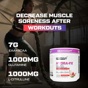 PROMOVE NUTRITION HYDRA-FX ESSENTIAL + BCAA AMINO ACID (375GM)