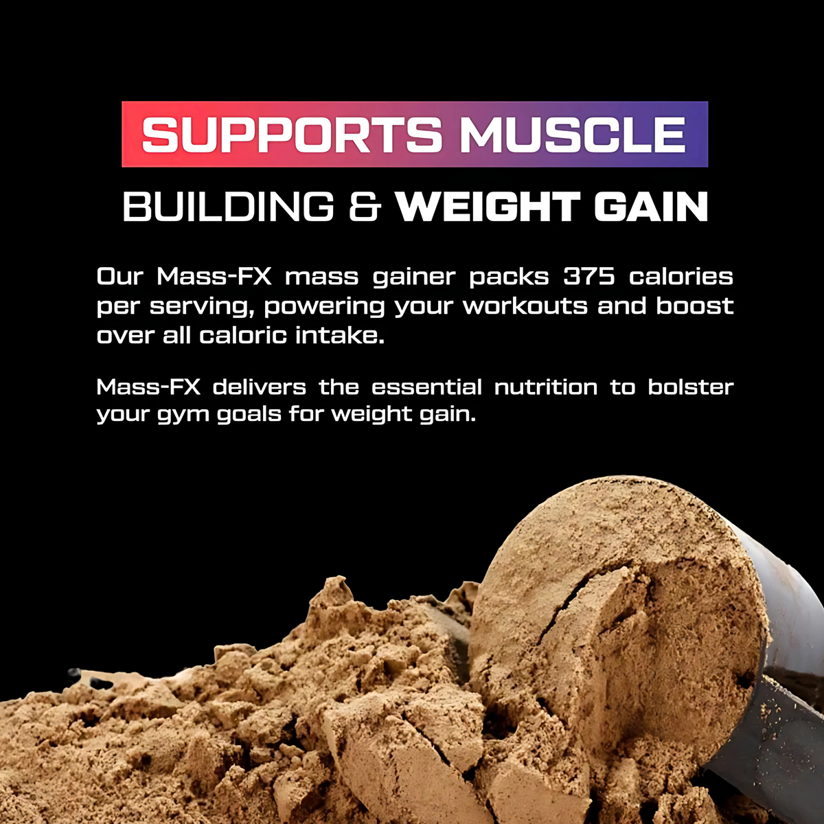 PROMOVE NUTRITION MASS-FX MASS GAINER